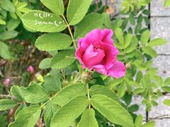 -白塘生态植物园