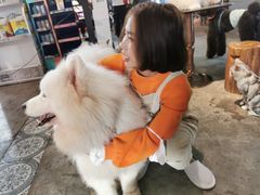 -more than meow吴止猫主题餐厅(承德 中船汇店)