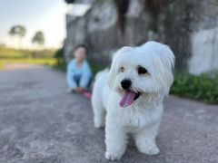 -联合动物医院(光谷诊疗中心)