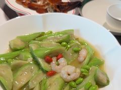 -秀儿四九城·新京菜(亚运村鸟巢店)