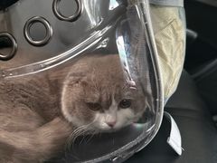 -瑞派康怡24h宠物医院·犬猫医疗中心·微创绝育(瑞景分院)