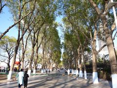 -人民防洪胜利纪念塔