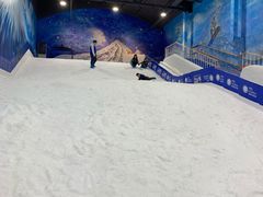 -Mr·Kuma酷么先生雪之乐园