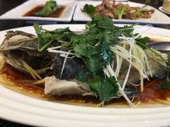 班鱼-新海利(北岭店)
