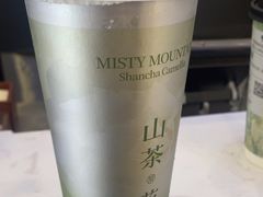 -雾与山茶(大禹城店)