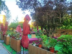 -万柳阁小馆·花园餐厅(龙潭湖店)
