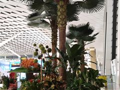 -郑州新郑国际机场-T2航站楼