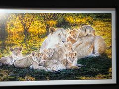 -罗红摄影艺术馆