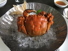 -柒厢食事雅谈