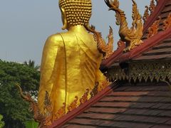 -西双版纳总佛寺