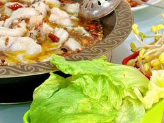 -金三可市井水煮鱼(金碧园店)