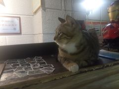 -逃脱反斗城沉浸剧情密室(北京路店)