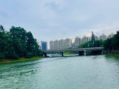 -南湖梦幻岛