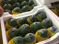 -江杨农产品批发市场