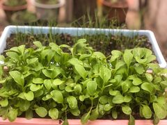 -房山世界地质公园博物馆