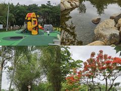 -惠和石文化园