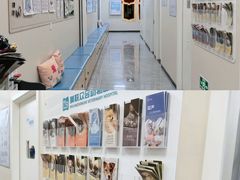 -美联众合爱康动物医院•复杂内科•肿瘤科•牙科•腔镜诊疗中心