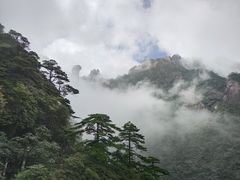 -菜当家