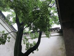 -乌镇东栅景区