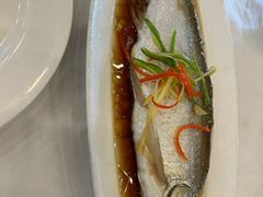 -锦江中华村农家乐饭庄