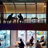 大连新店🏕️不用逃离城市喧嚣的室内露营咖啡