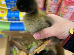 -永辉超市(世纪金源店)