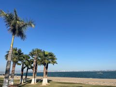 -厦门万豪酒店及会议中心大堂吧·海景下午茶