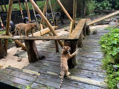 -广州长隆野生动物世界