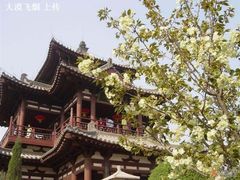 -西安青龙寺遗址景区