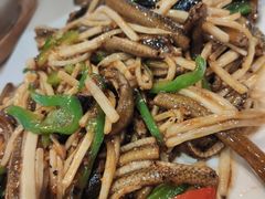 -丁老爷子苏香圆