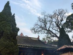 -国恩寺