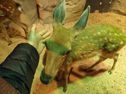 -酷嗒动物文化乐园(cutezoo西溪乐天城店)