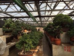 iphone_upload_pic-中国唐苑