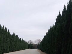 -汉景帝阳陵博物院