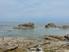 -养马岛旅游度假区
