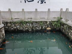 -墨池公园