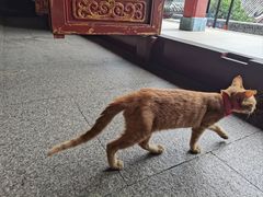 -长春观