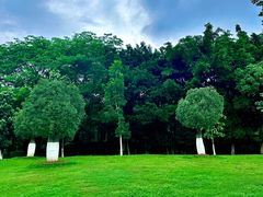 -东莞植物园