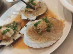 扇贝-华盛丰温州大排档(东三环南路店)