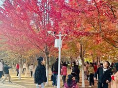 -辽宁大学(崇山校区)