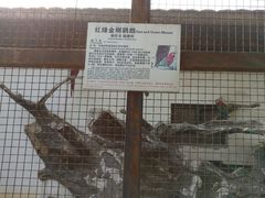 -南昌动物园
