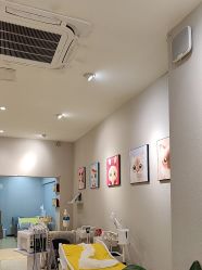 -洗脸猫·洗脸吧