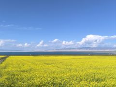 -青海湖国家重点风景名胜区