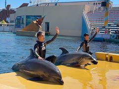 -秦皇岛乐岛海洋王国