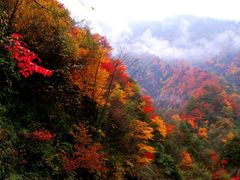 android_upload_pic-广元唐家河嘉怡客栈