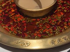 -哥老官重庆美蛙鱼头(虹口龙之梦店)