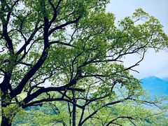 -关门山森林公园