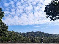-东莞市大岭山森林公园
