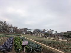 -乌村