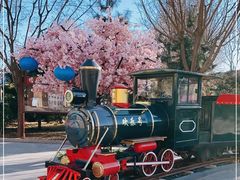 -南宫五洲植物乐园